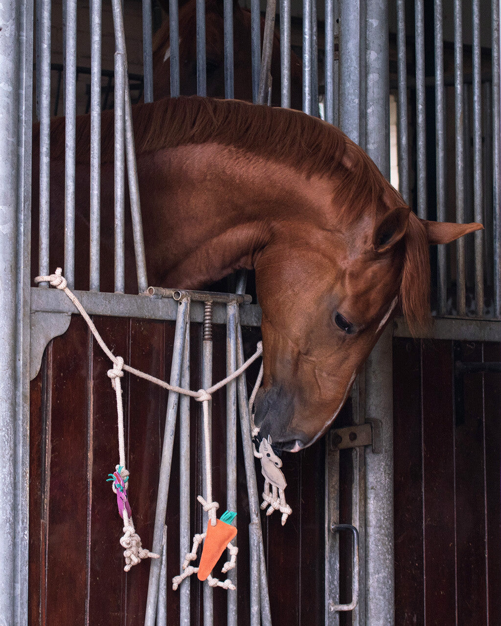 Suporte para caixa de brinquedos de cavalo