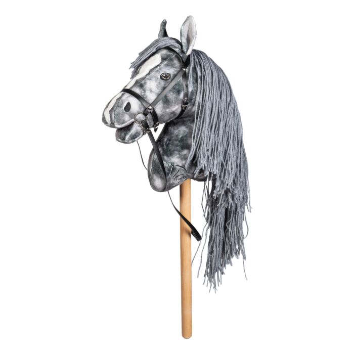 Cavalo de pau