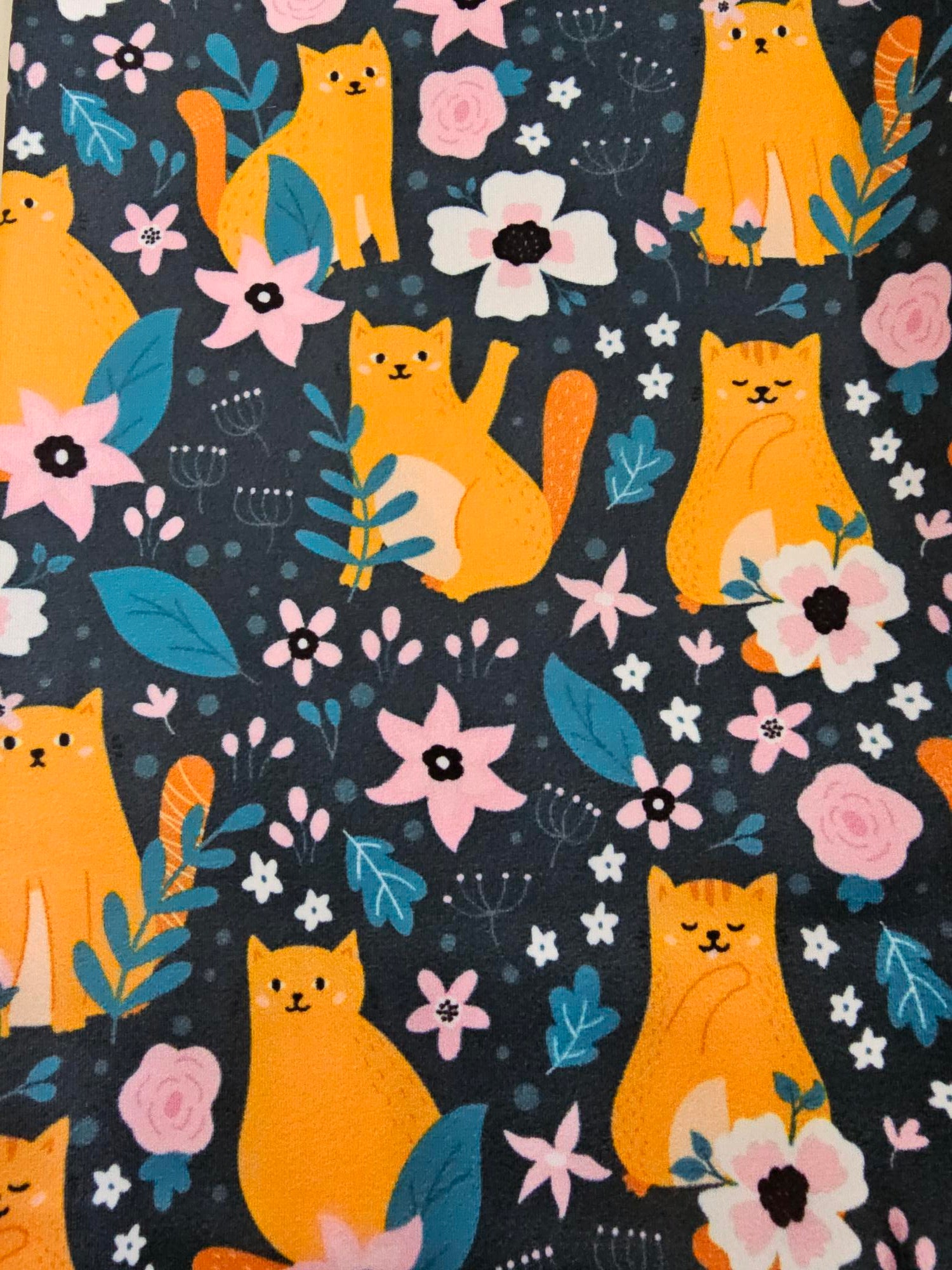 Conjunto de camada base para crianças - gatos