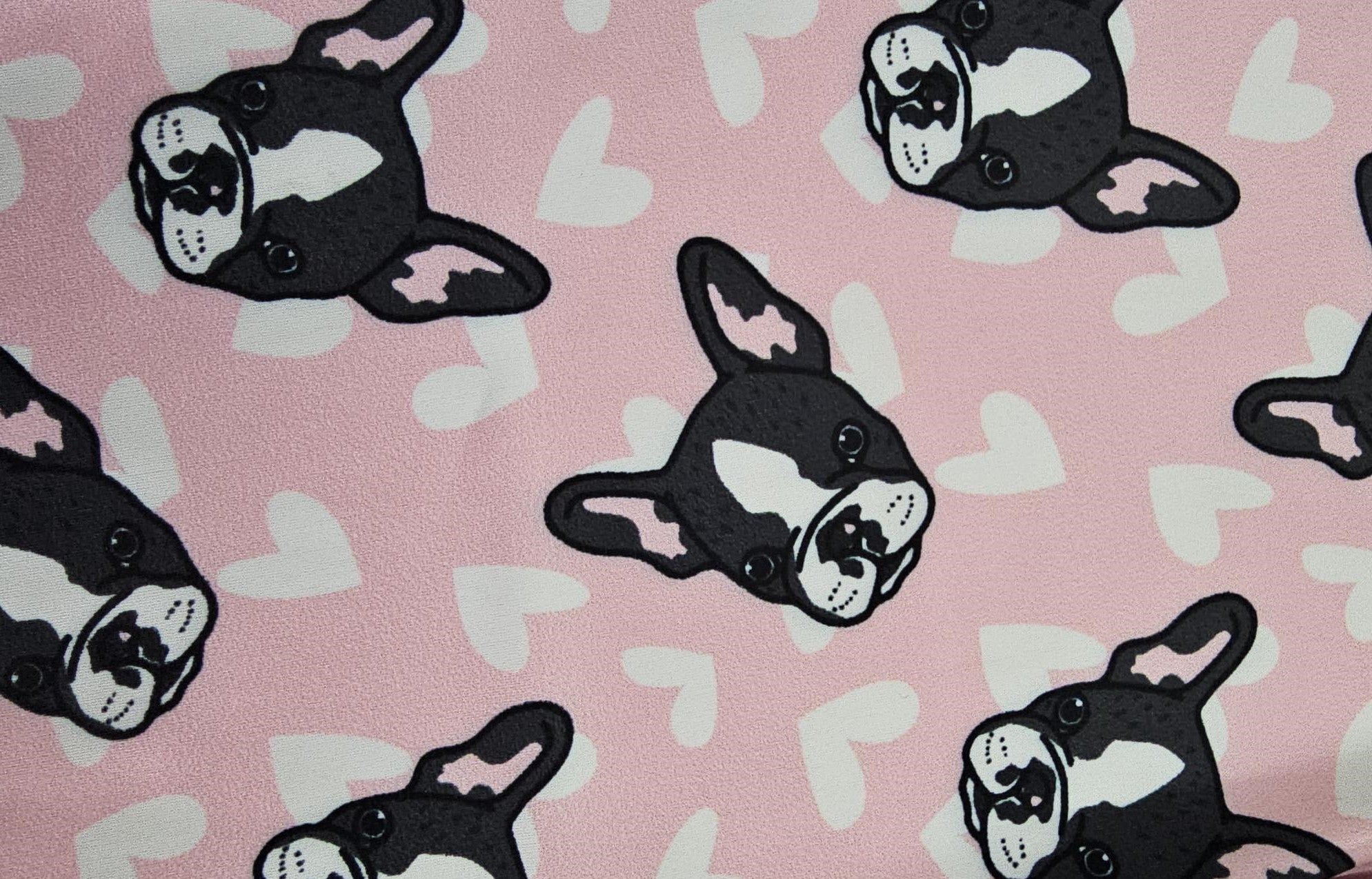 Conjunto de camada base para crianças - cães