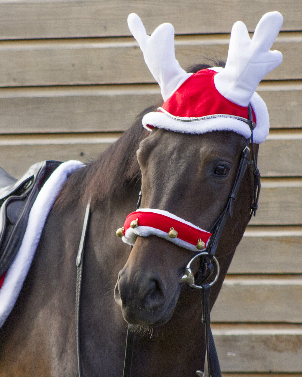 Chapéu de rena de Natal