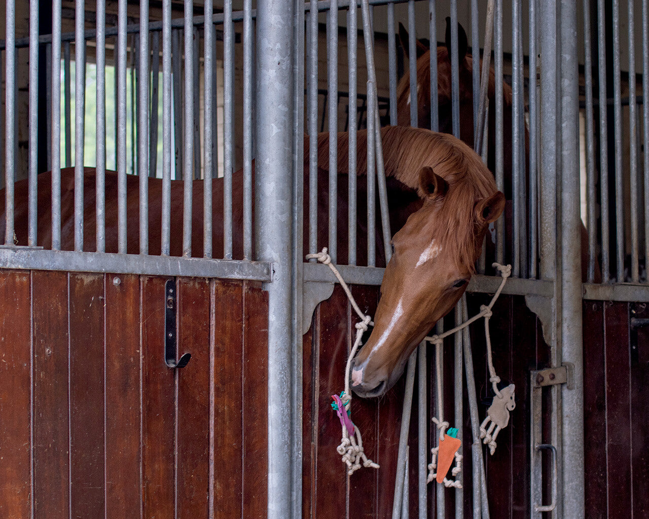 Suporte para caixa de brinquedos de cavalo