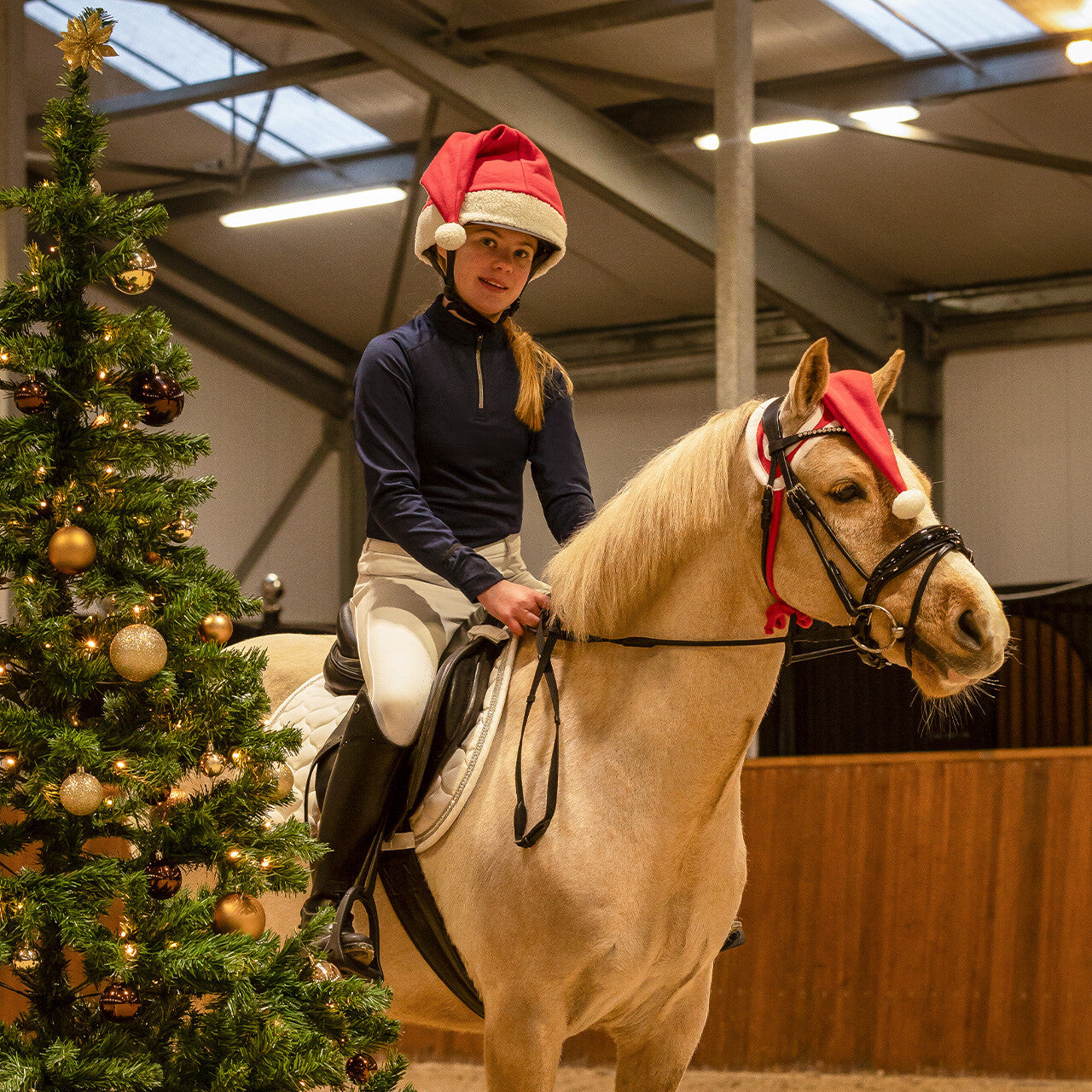Chapéu de Natal para cavalo