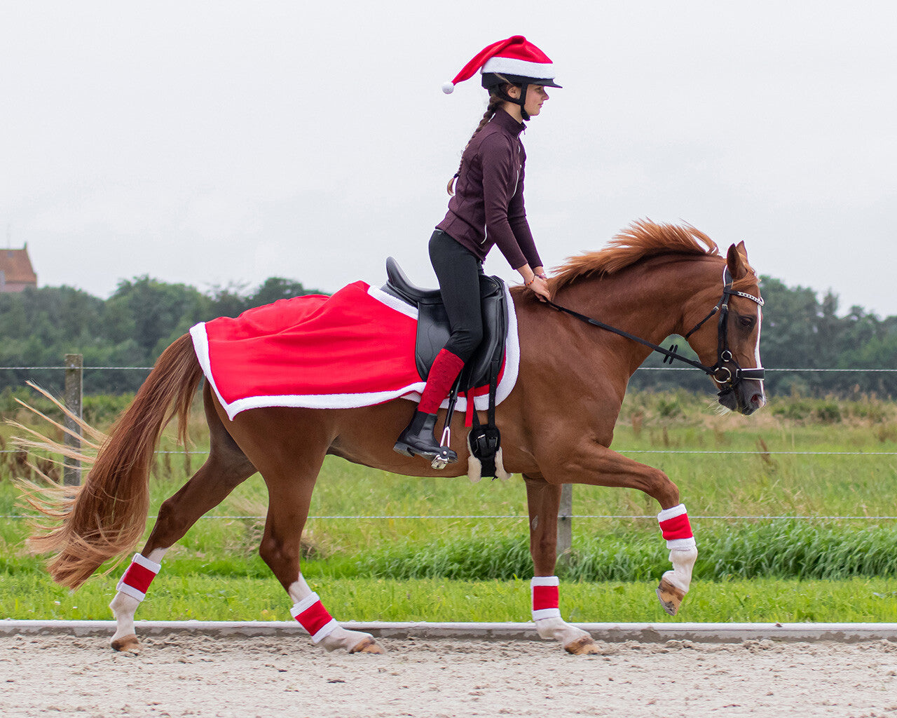Manta de Exercício de Natal
