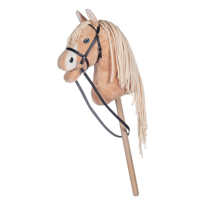 Cavalo de pau